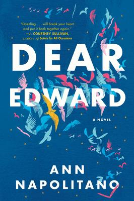 Dear Edward by Ann Napolitano Book Summary