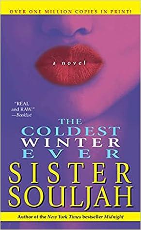 The Coldest Winter Ever by Sister Souljah Book Summary