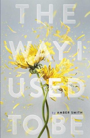 The Way I Used to Be by Amber Smith Book Summary
